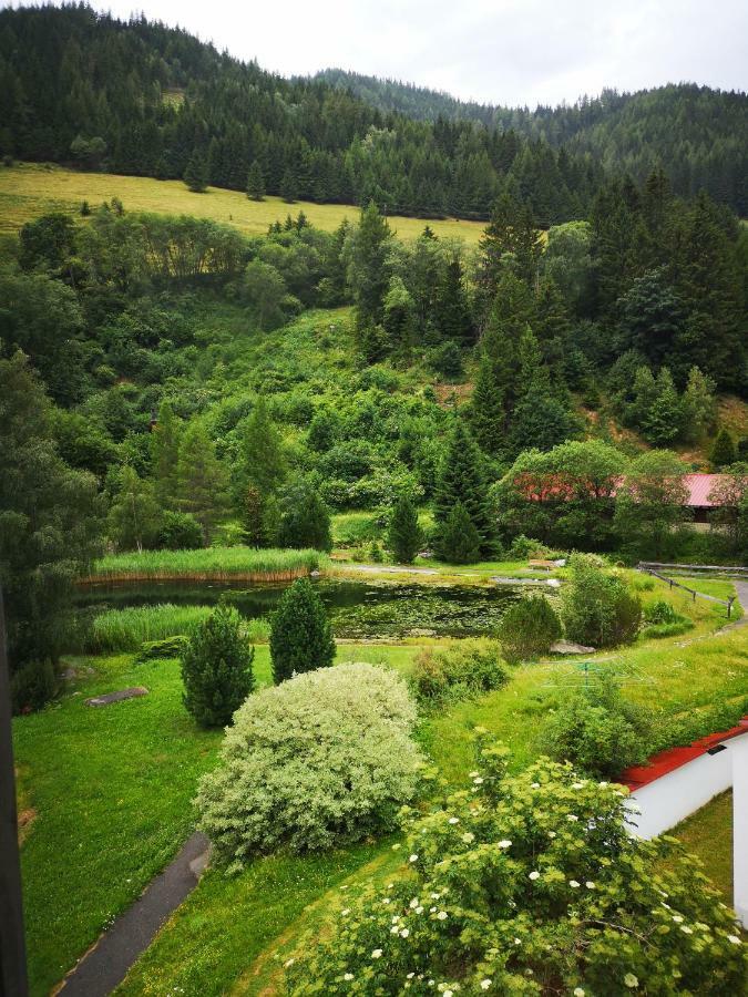 Grassegger Appartementhaus Sankt Johann am Tauern エクステリア 写真